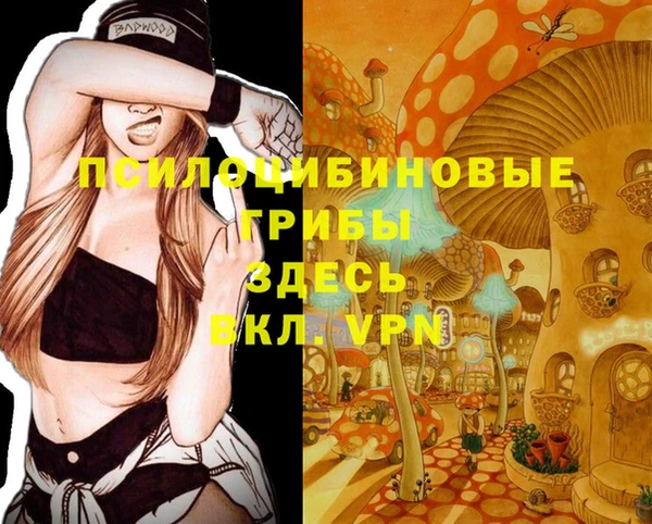 a pvp Абдулино
