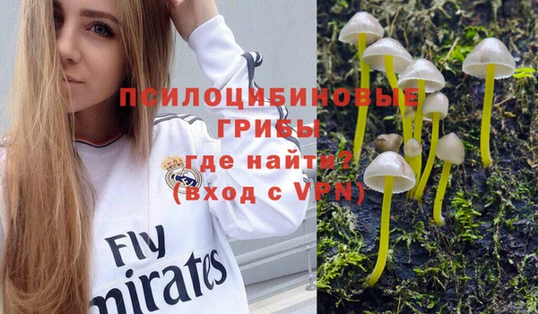 a pvp Абдулино